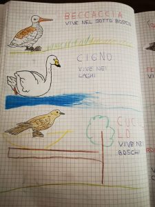 Quaderno di SCIENZE per la classe terza - Maestra Anita