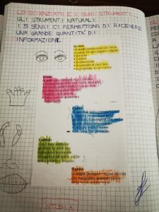 Quaderno di SCIENZE per la classe terza - Maestra Anita