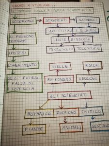 Quaderno di SCIENZE per la classe terza - Maestra Anita