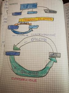 Quaderno di SCIENZE per la classe terza - Maestra Anita